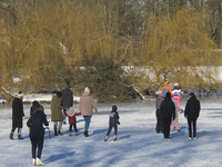 901364 Gezicht op de vijver in Park Transwijk te Utrecht, met schaatsers, wandelaars en spelende kinderen.
